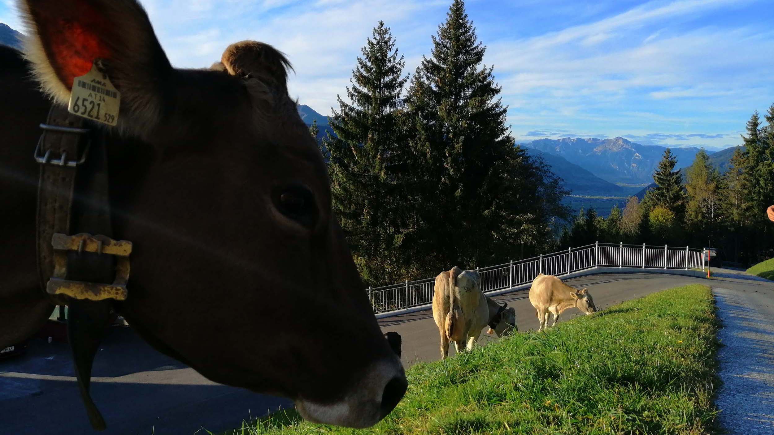 IMG 20191102 154127.jpg